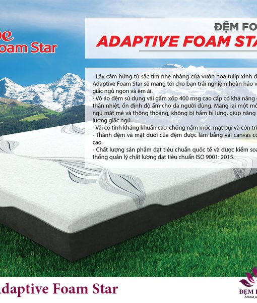 Giới thiệu đệm foam massage Adaptive Star