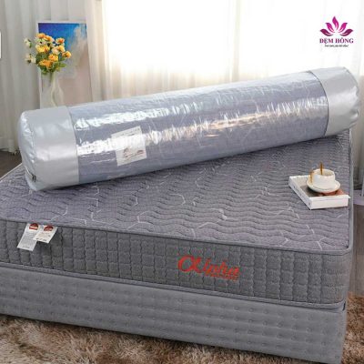 Đệm lò xo túi cuộn Alpha cao 22cm
