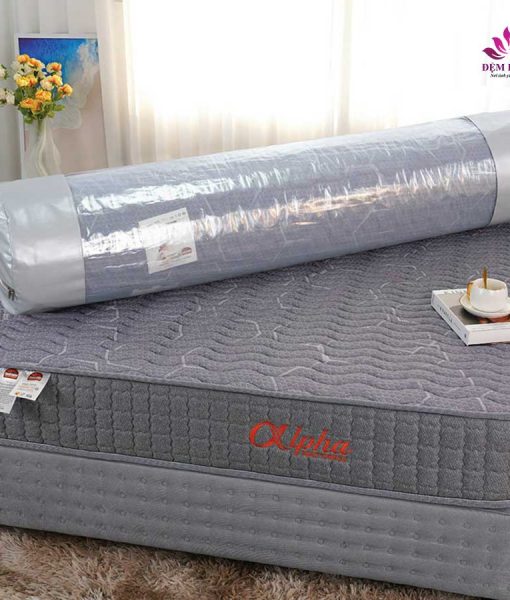Đệm lò xo túi cuộn Alpha cao 22cm