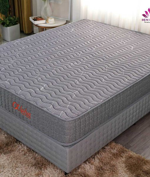 Nơi cung cấp đệm lò xo túi cuộn Alpha