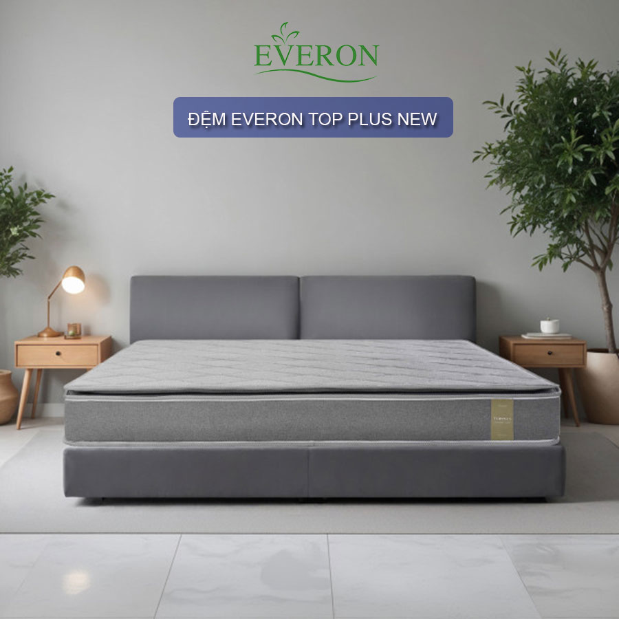 Đệm bông ép Everon Top Plus New