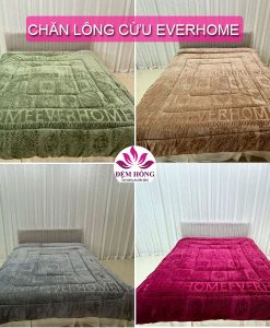 4 Màu chăn lông cừu Everhom chính hãng