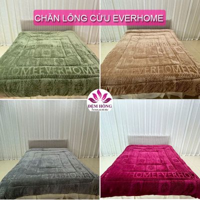 4 Màu chăn lông cừu Everhom chính hãng