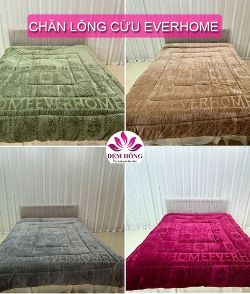 4 Màu chăn lông cừu Everhom chính hãng