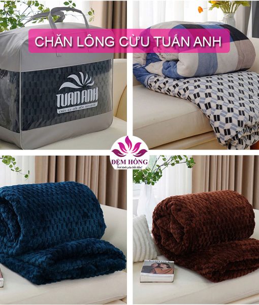 4 Màu chăn lông cừu Tuấn Anh 2024 – 2025