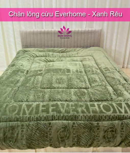 Chăn lông cừu Everhome màu Xanh Rêu