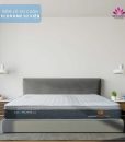 dem-lo-xo-tui-cuon-Ecohome-5-sao