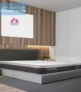 nem-lo-xo-tui-cuon-Ecohome-5-sao