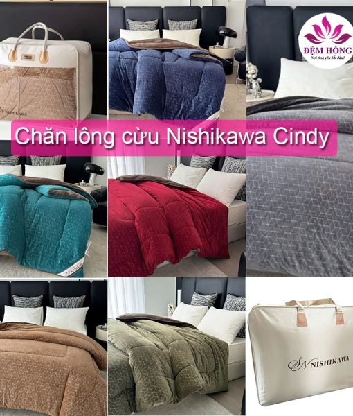 chan-long-cuu-Nishikawa-Cindy